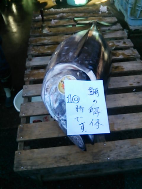 20131123_生麦魚河岸まつり