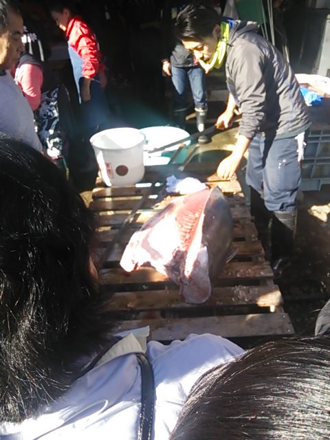 20131123_生麦魚河岸まつり