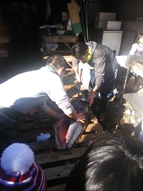 20131123_生麦魚河岸まつり