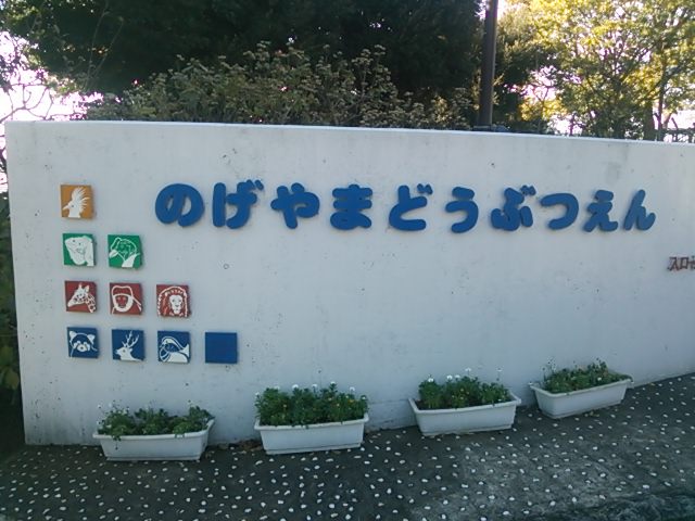 20131201_野毛山動物園