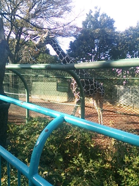 20131201_野毛山動物園
