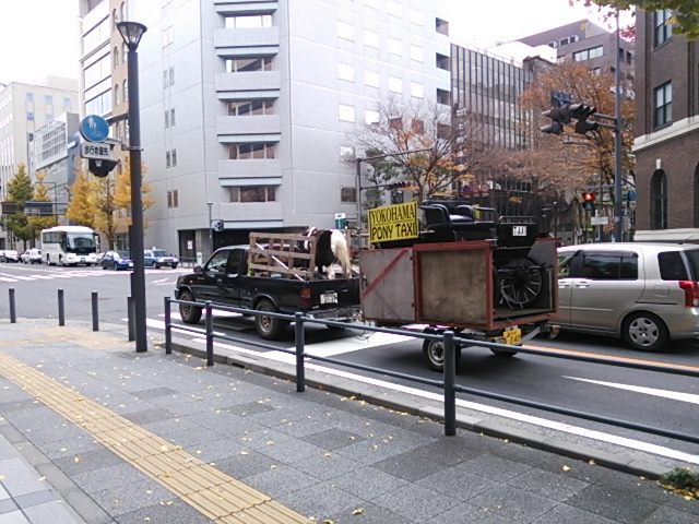 20131208_PONY TAXY