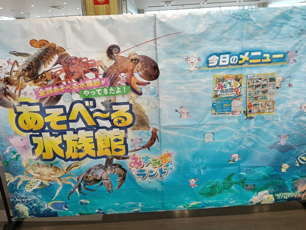 20250915_あそべ～る水族館inクルーズターミナル