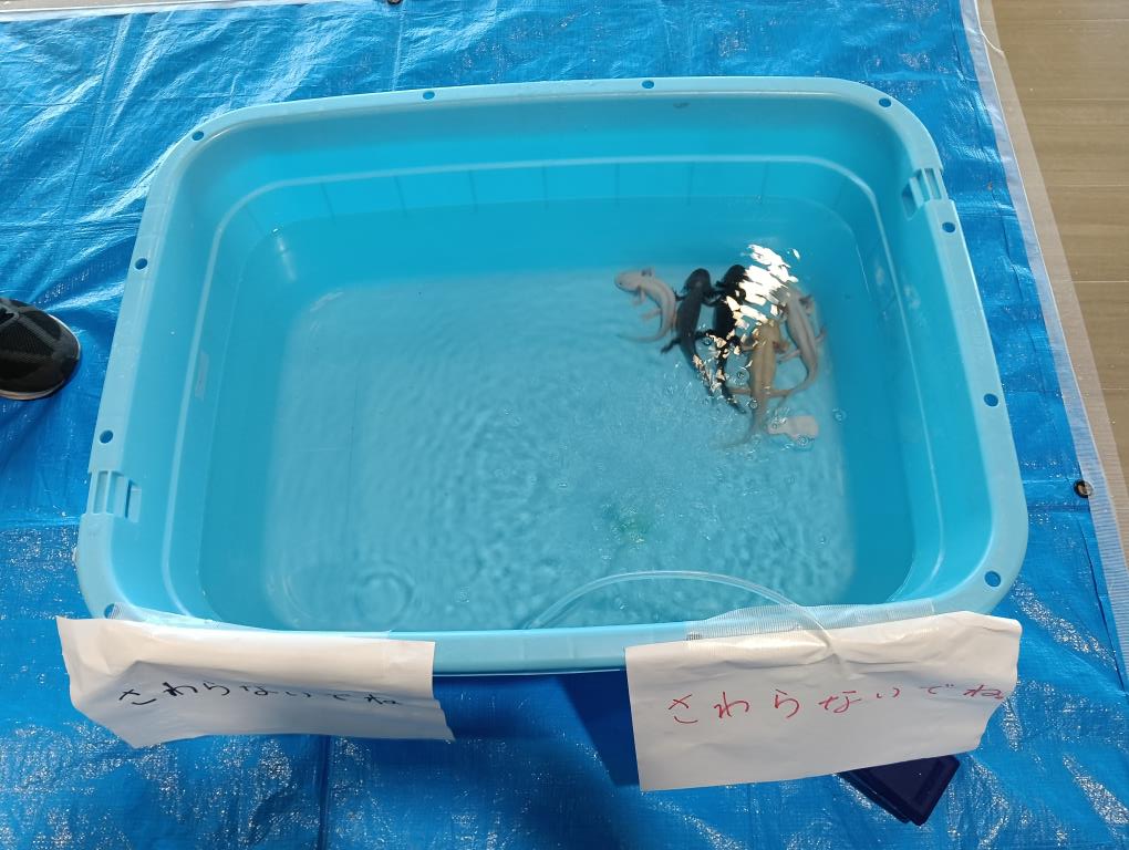 20250915_あそべ～る水族館inクルーズターミナル