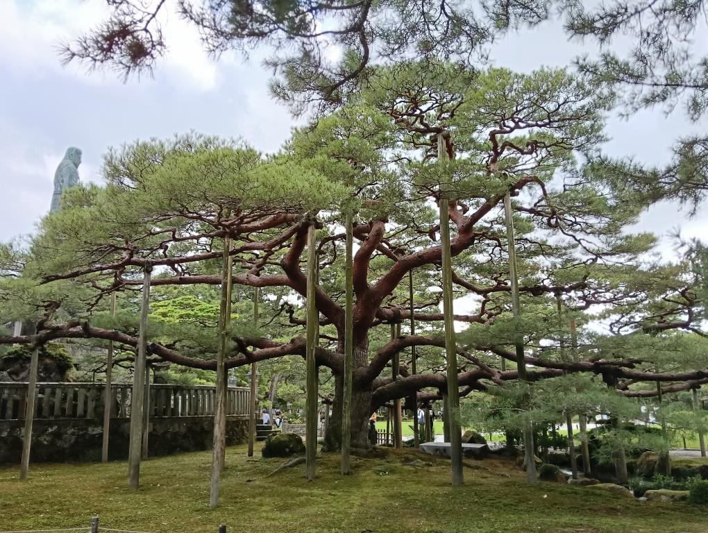 20250921_兼六園