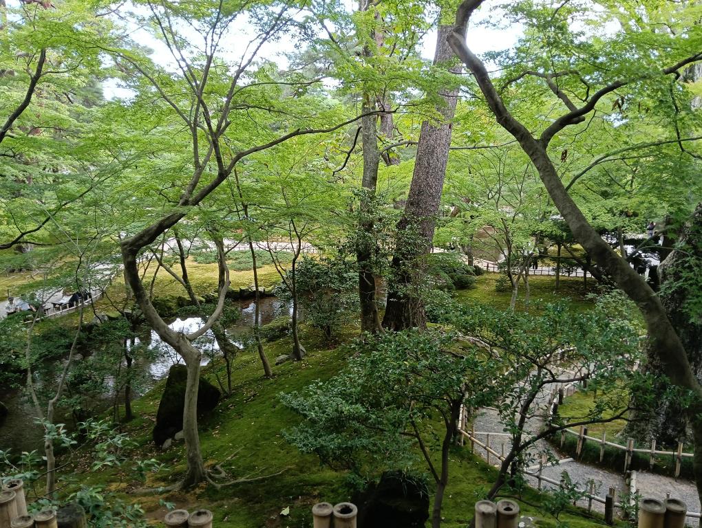 20250921_山崎山