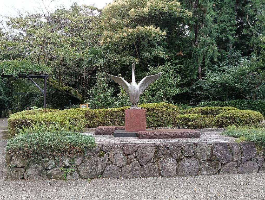 20250921_白鳥