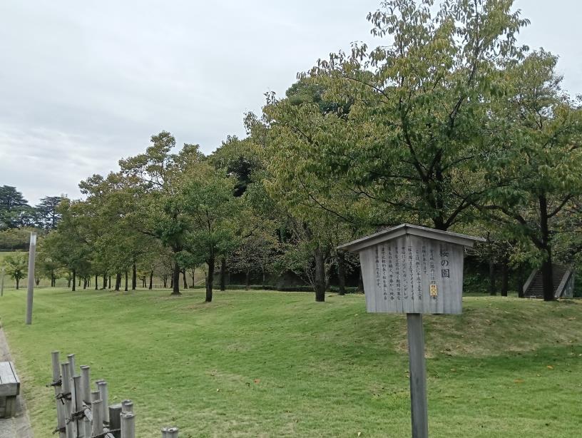 20250923_桜の園