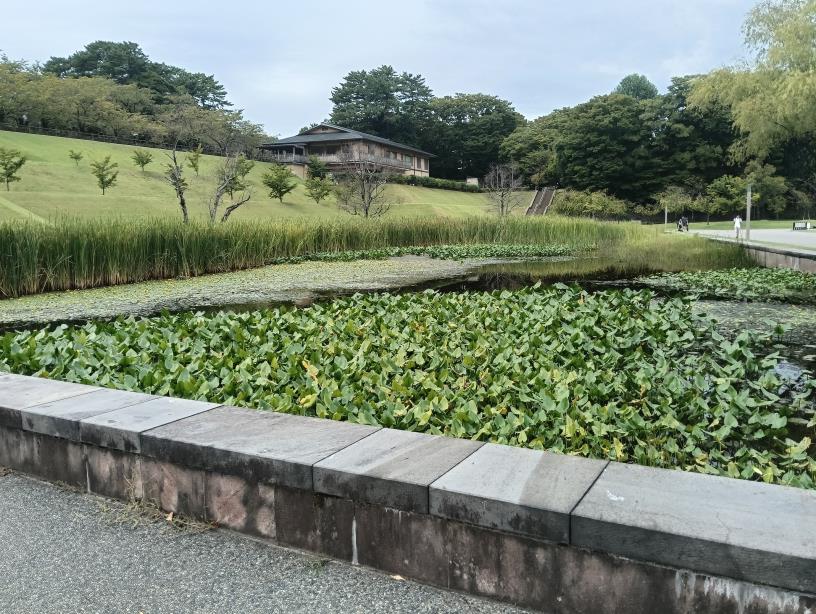 20250923_湿生園