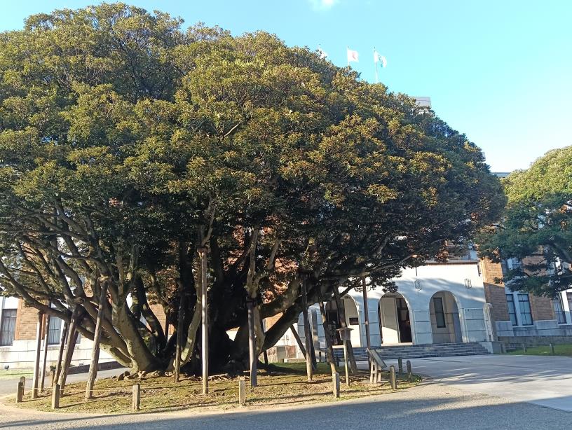 20250923_石川県政記念しいのき迎賓館（旧石川県庁舎本館）