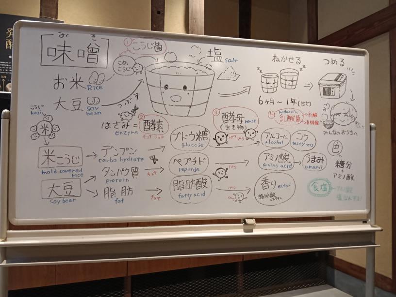 20250927_ヤマト・糀パーク　糀蔵ガイド付きツアー