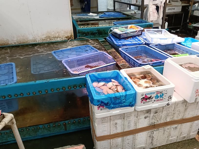 20250927_金沢港いきいき魚市