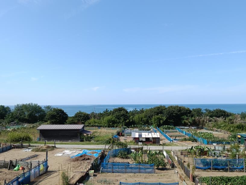 20250928_ハマナス緑地夕陽ケ丘