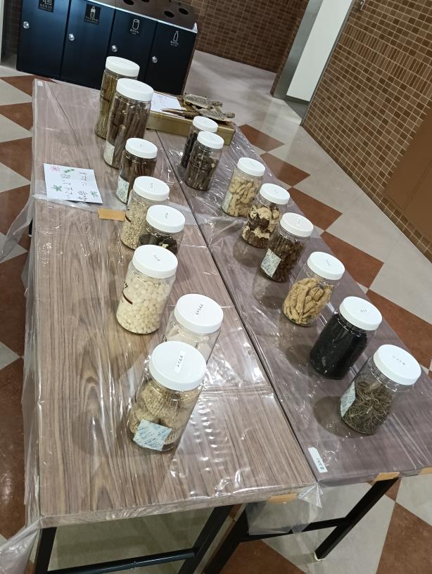 20250928_金沢医科大学 内灘祭 TOUR OF HEALTH