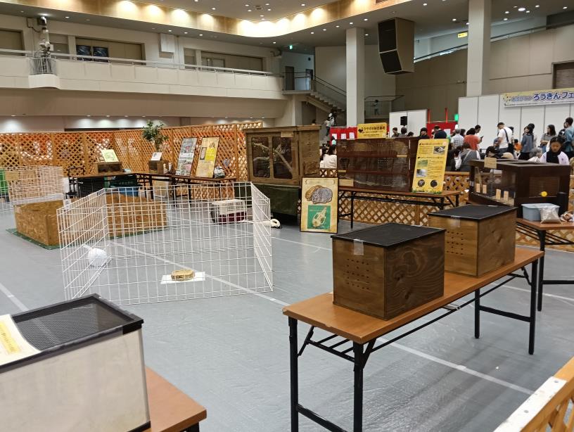 20251004_ろうきんフェスタ　ZOO TIME