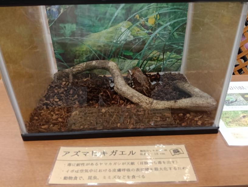 20251004_ろうきんフェスタ　ZOO TIME