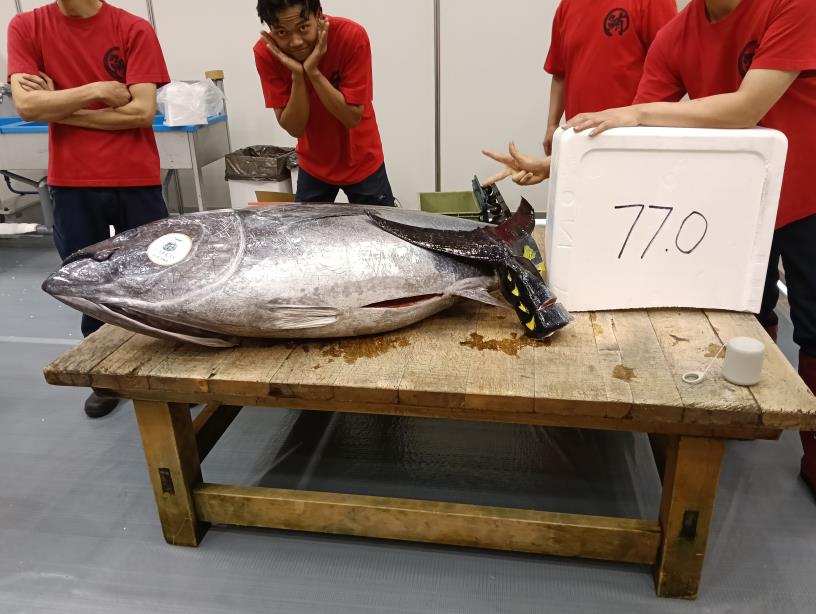 20251004_ろうきんフェスタ　マグロ解体ショー