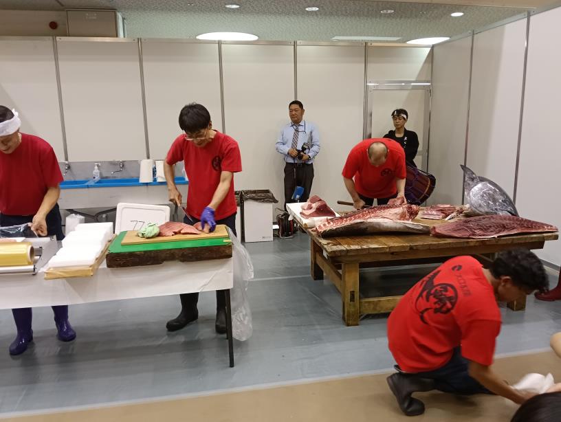 20251004_ろうきんフェスタ　マグロ解体ショー