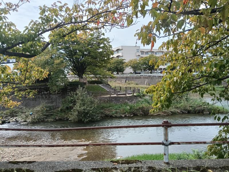 20251010_伏見川高橋川合流点