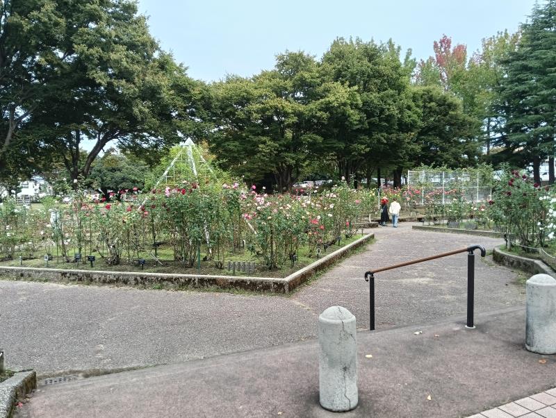 20251010_金沢南総合運動公園 バラ園