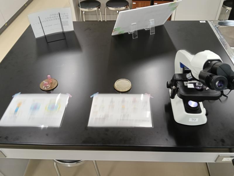 20251012_北陸大学 北大祭 寄生虫ミュージアム