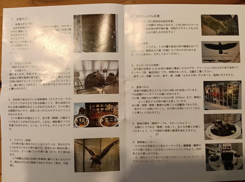 20251012_石川県立自然史資料館