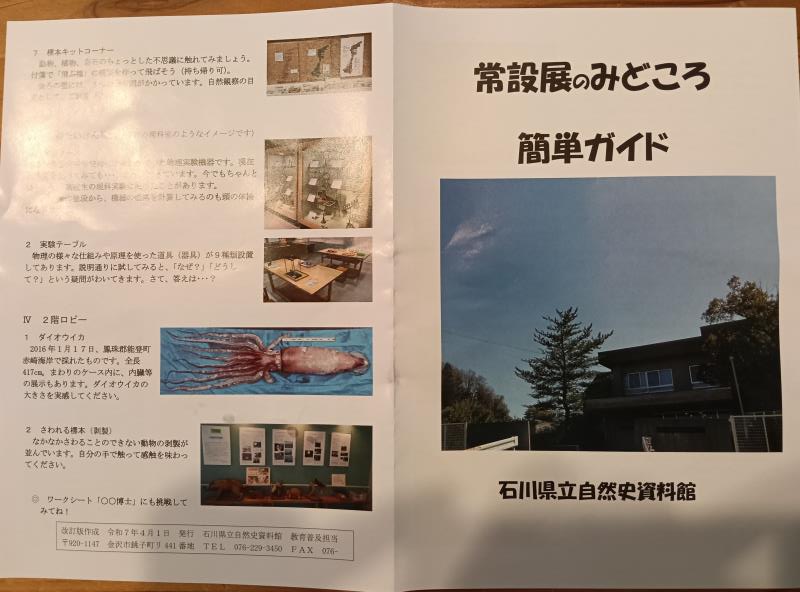 20251012_石川県立自然史資料館