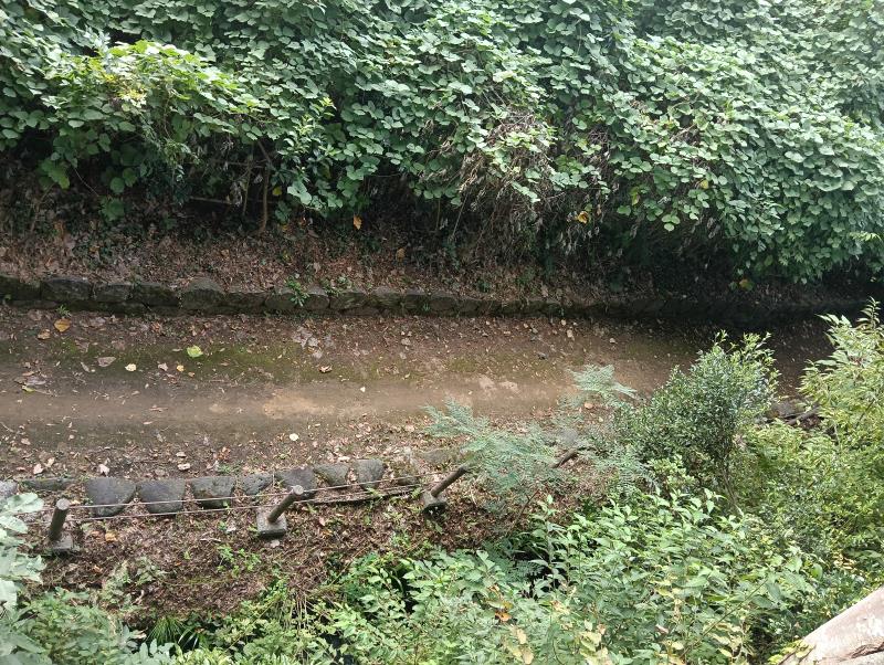 20251012_辰巳用水遊歩道