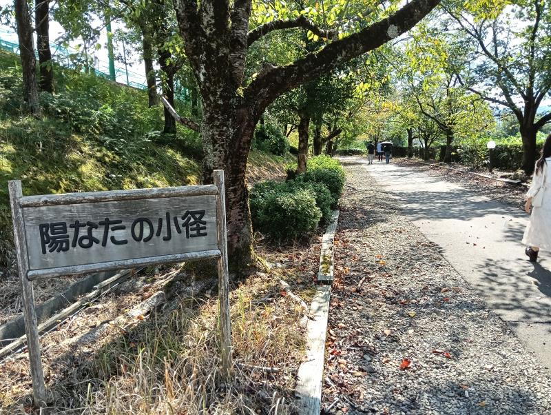 20251012_陽なたの小径