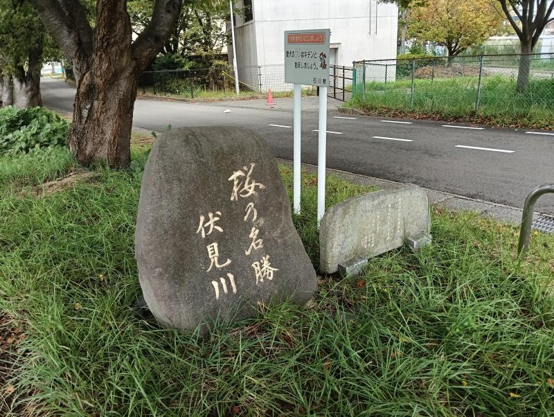 20251013_桜の名勝　伏見川