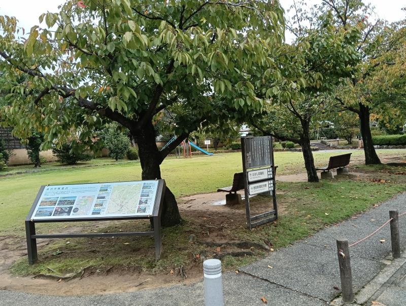 20251019_東山河岸緑地