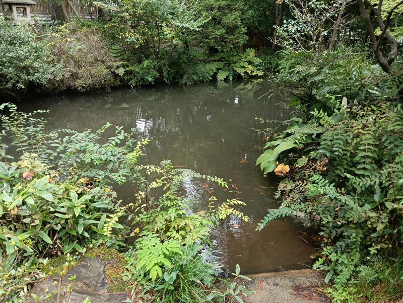 20251019_西田家庭園「玉泉園」