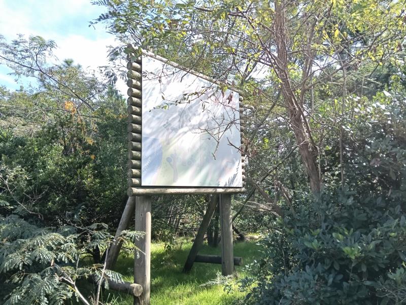 20251025_しおさいロード