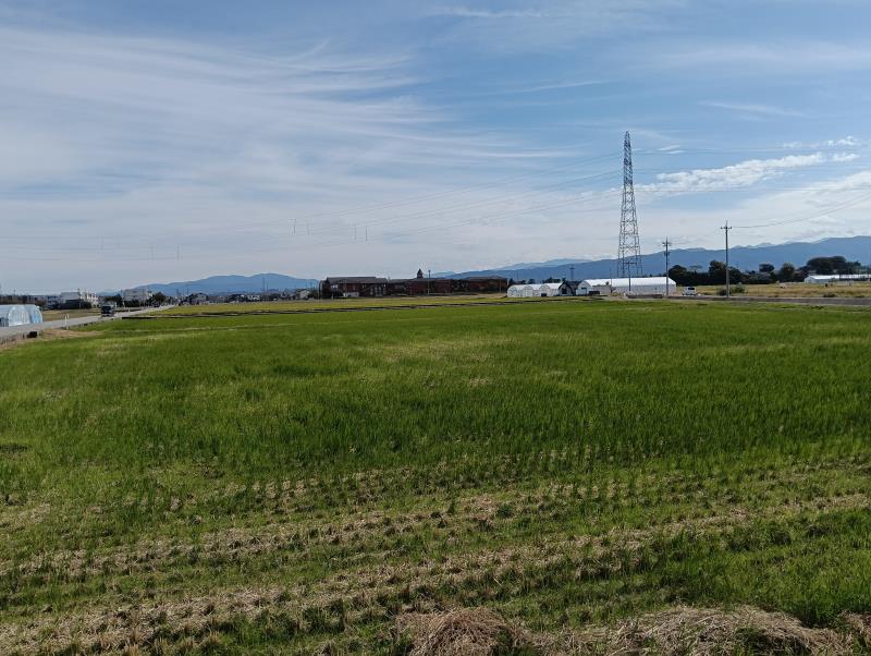 20251025_白山市立蕪城小学校