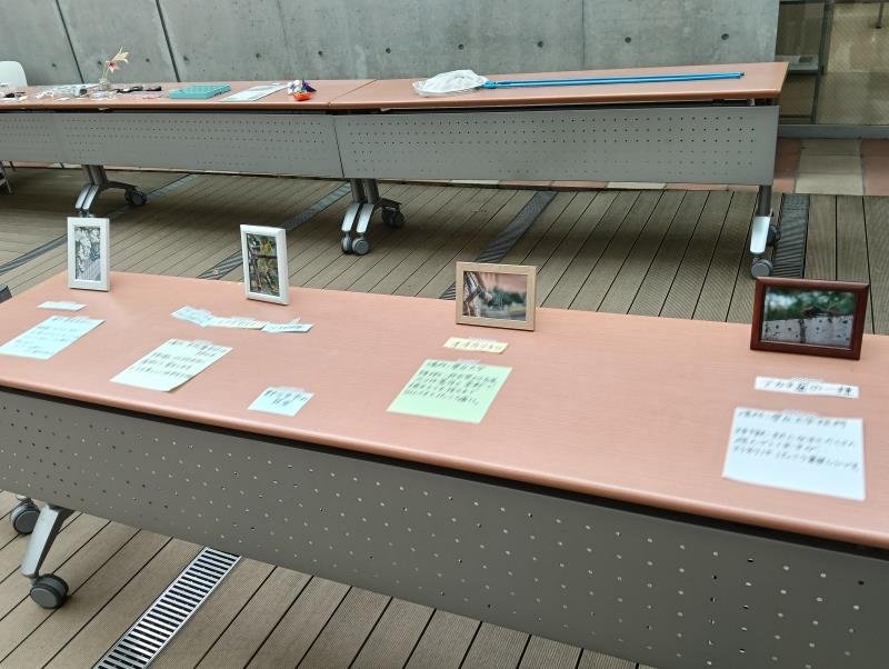 20251025_石川県立大学 響緑祭 昆虫研