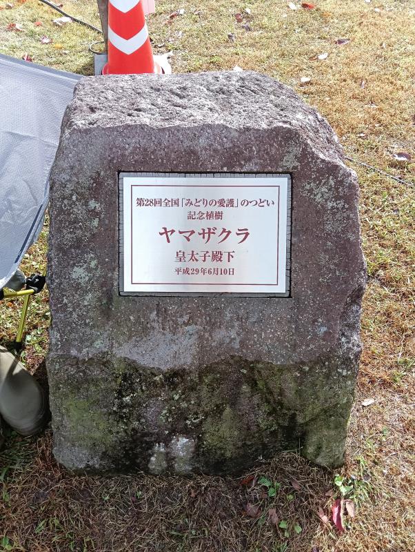 20251101_緑の愛護のつどい