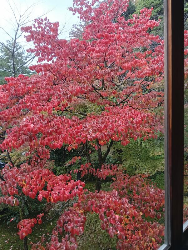 20251103_旧中村邸