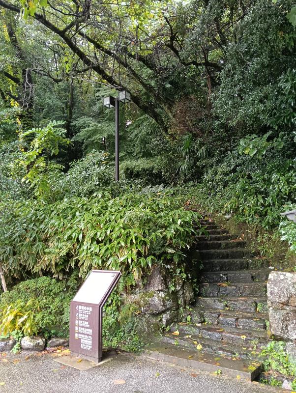 20251103_美術の小径