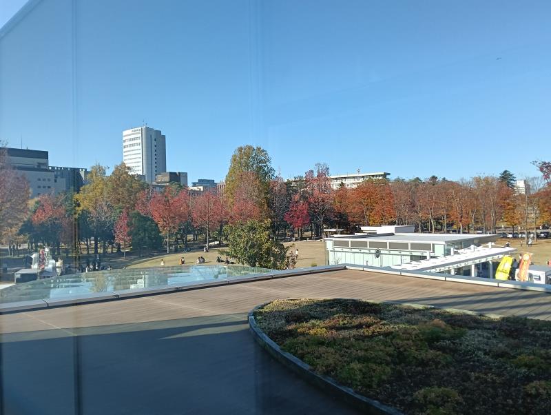 20251115_しいのき緑地