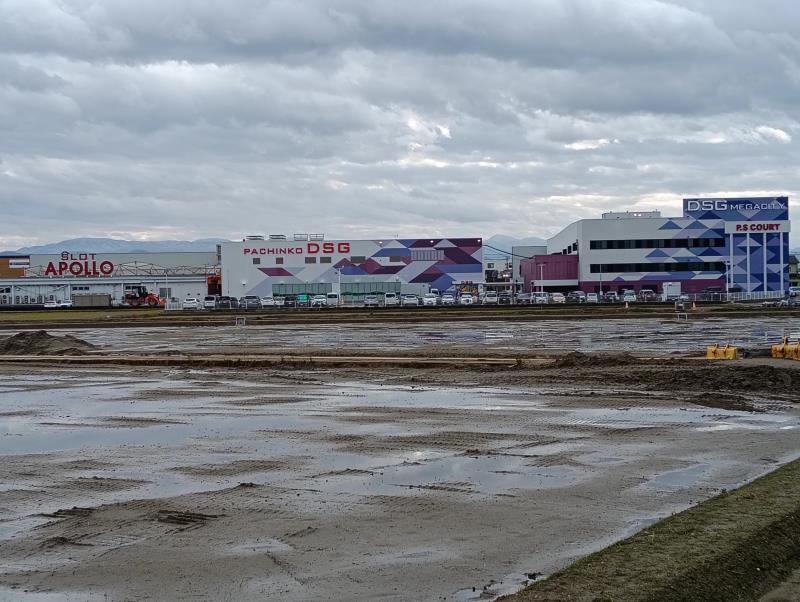 20251119_DSG MEGA CITY