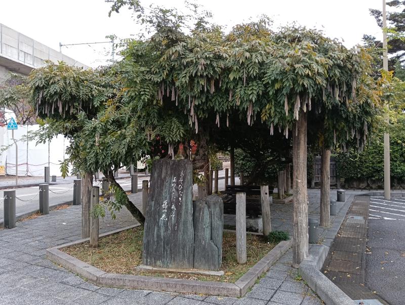 20251119_千代女句碑