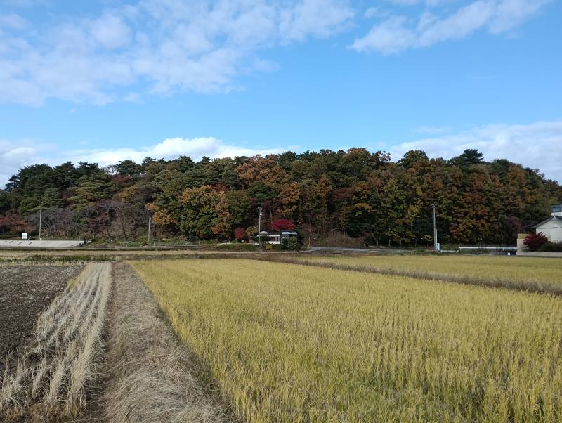 20251119_和田山城跡