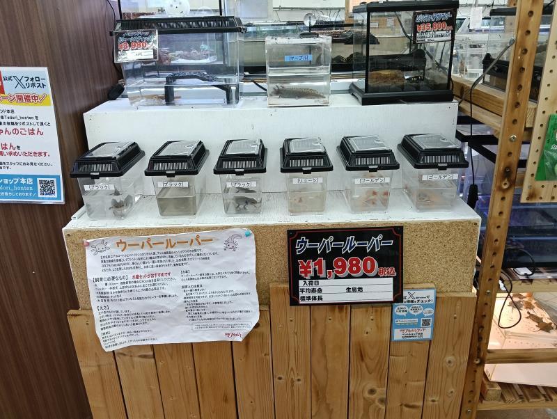 20251119_手取フィッシュランド