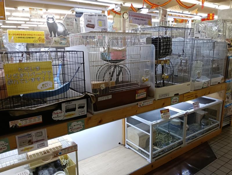 20251119_手取フィッシュランド