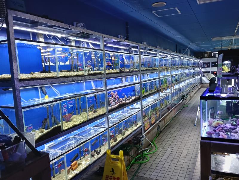 20251119_手取フィッシュランド