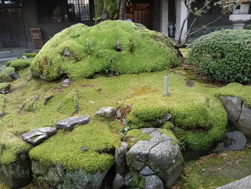 20251119_松任ふるさと館（旧吉田家住宅）