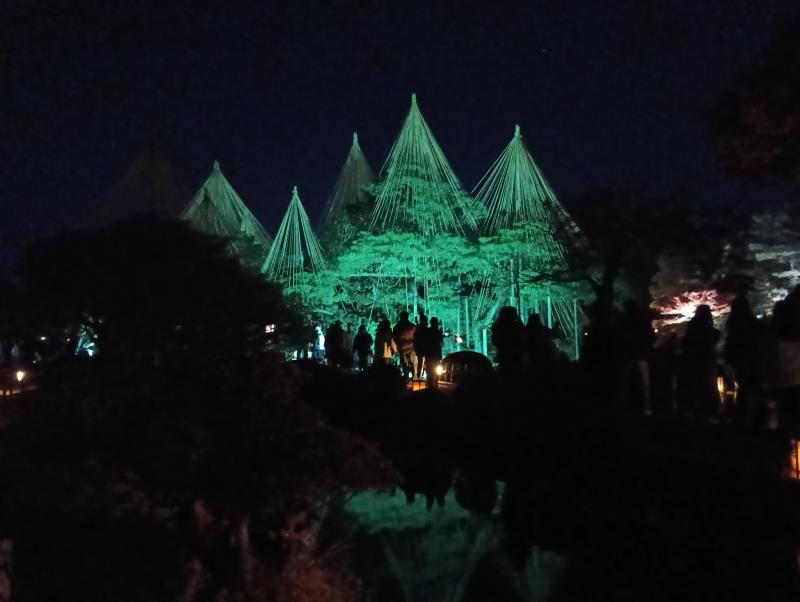 20251122_兼六園 唐崎松