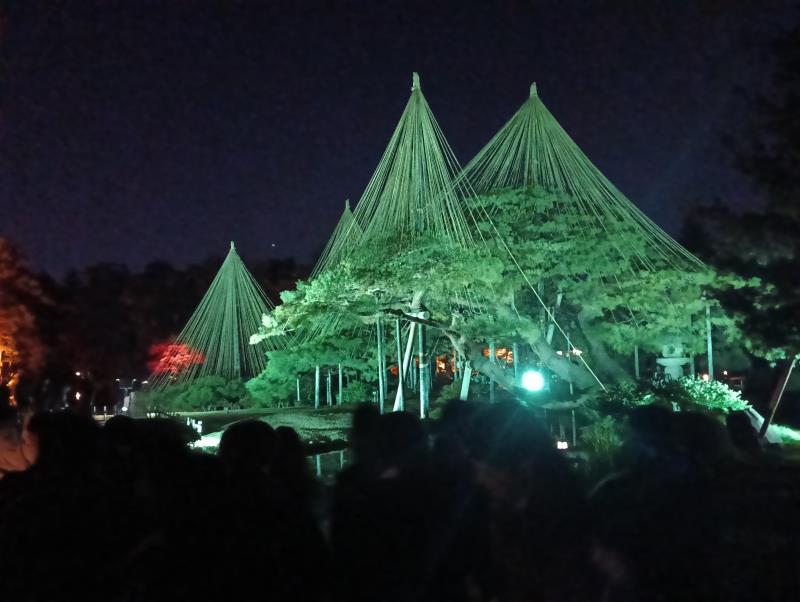 20251122_兼六園 唐崎松