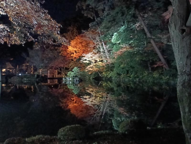 20251122_兼六園 瓢池
