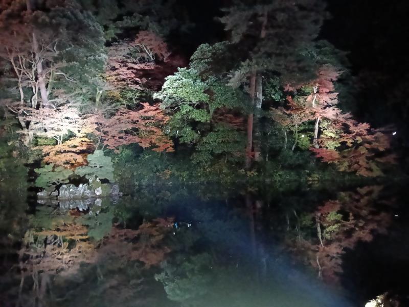 20251122_兼六園 瓢池